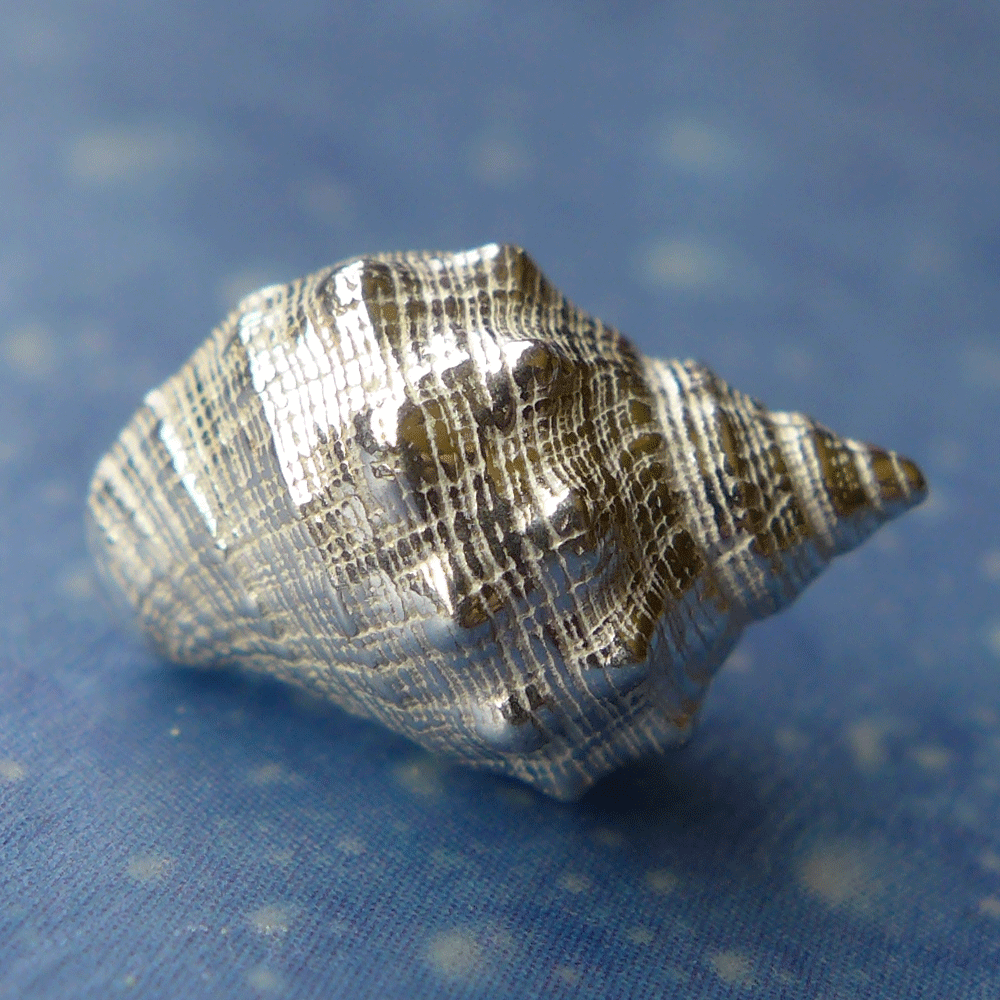 Urlaubsfeeling Rotmundleistenschnecke Ohrstecker