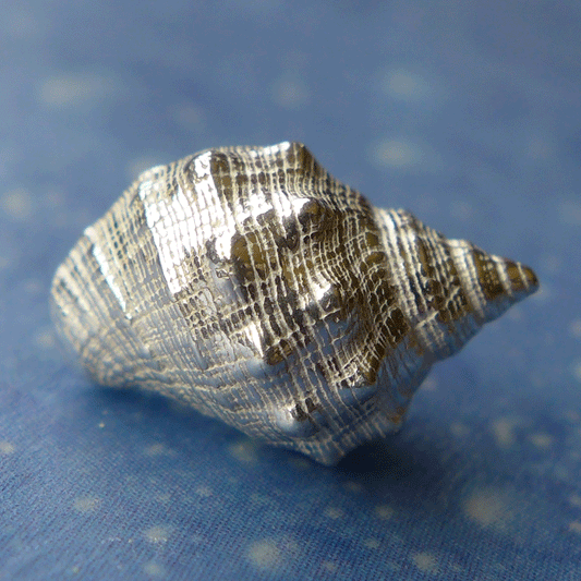 Urlaubsfeeling Rotmundleistenschnecke Ohrstecker