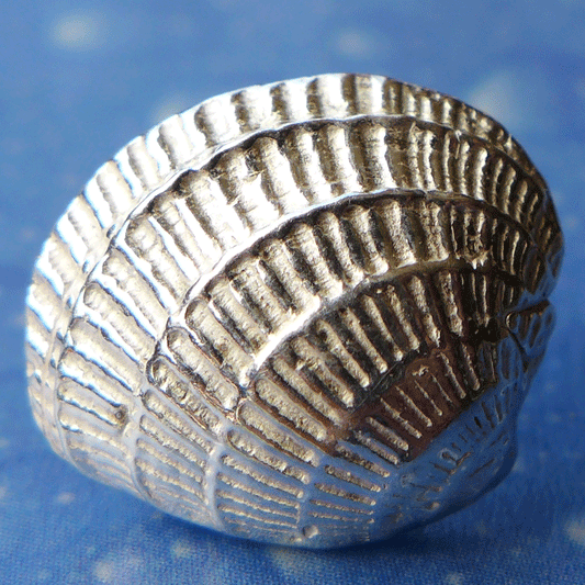 Venus Muschel Symbol Schmuck Ohrstecker