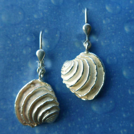 Venusmuschel Ohrringe Schmuck