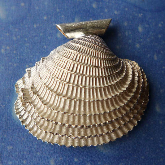 Silber Venusmuschel Anhänger Kette