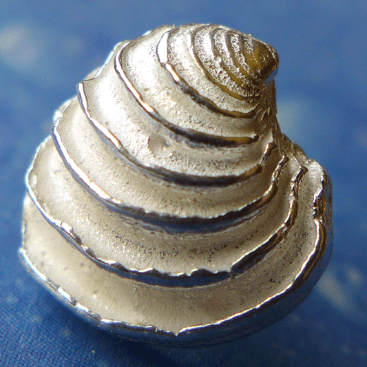 Venus Schmuck Muschel Ohrstecker Silber