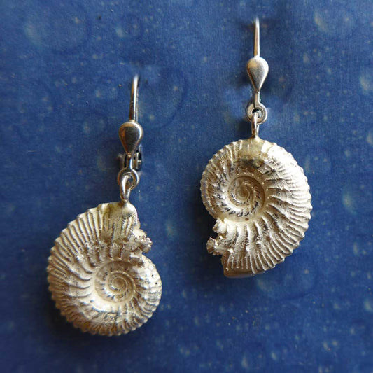 Ammonit versteinert Ohrringe Silber Schmuck