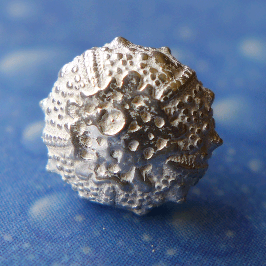 Fossiler Seeigel Schmuck Silber