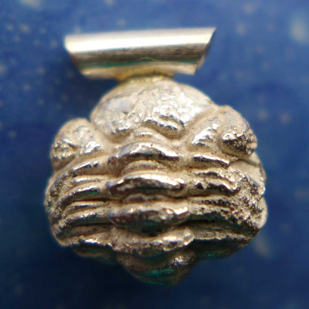 Versteinerung Schmuck Trilobit Anhänger