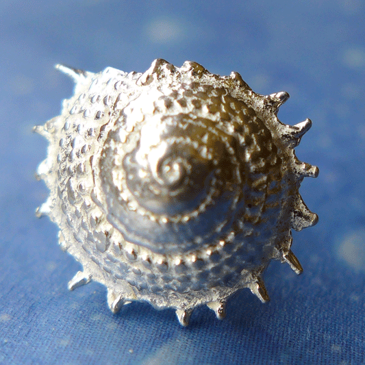 Vitamin Sea Sonnenschnecke Ohrstecker Schmuck