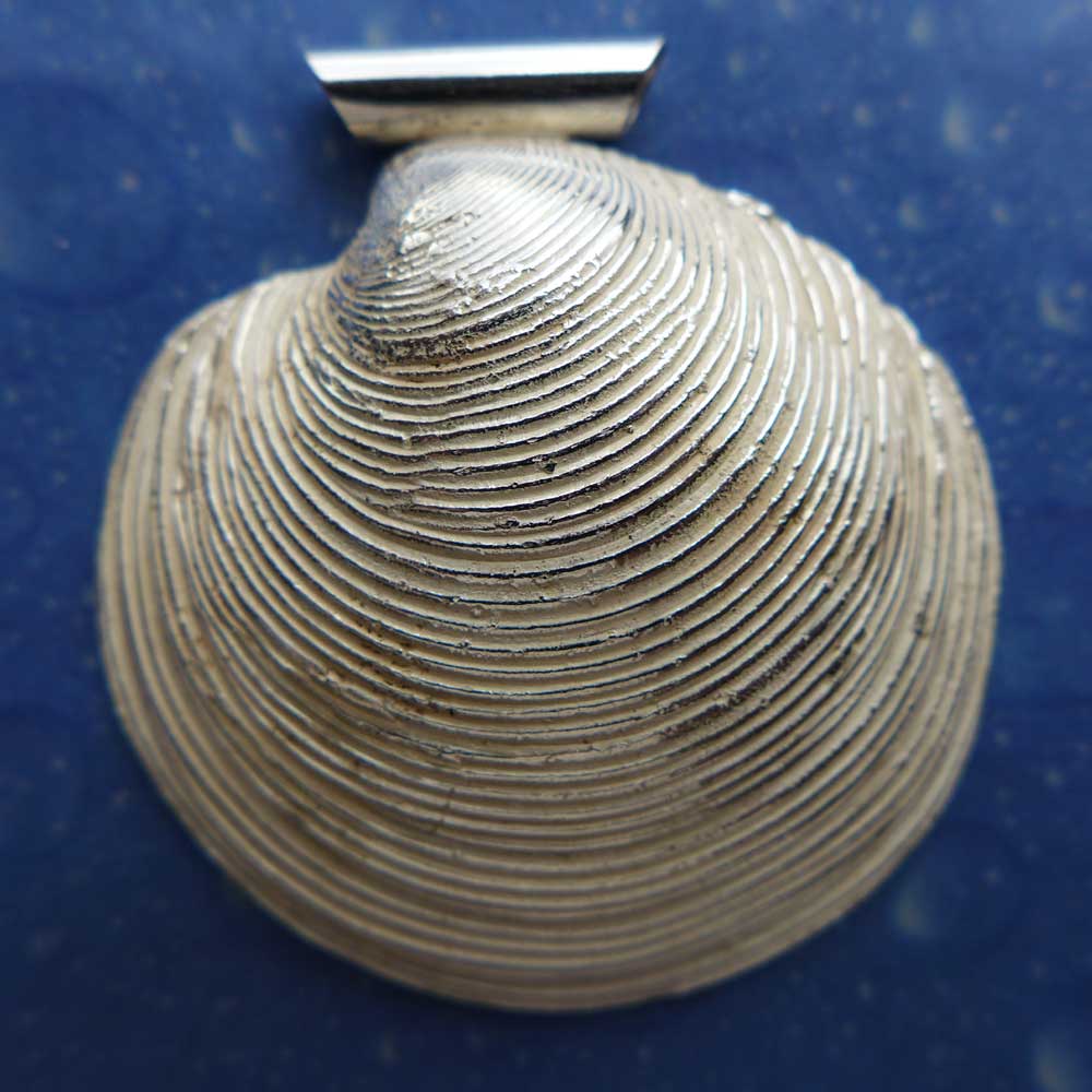 Muschel Anhänger