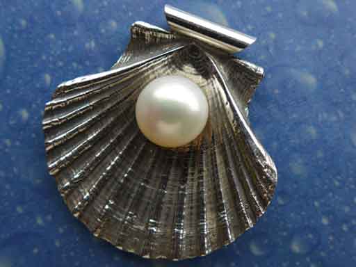 Schmuck Perle Anhänger Pilgermuschel flach