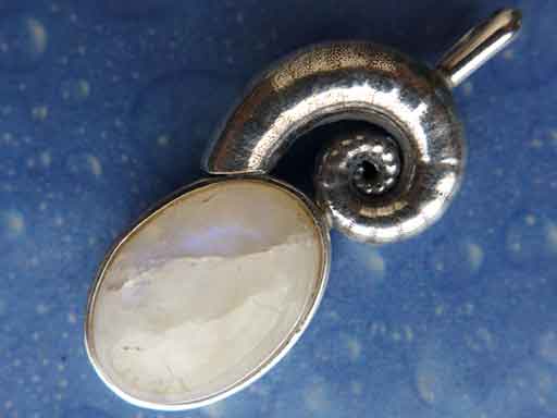 Posthornschnecke mit Mondstein Anhänger