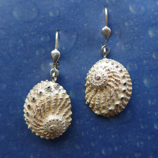 Abalone Ohrringe Schmuck online