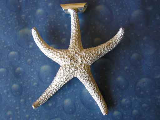 Schmuck Design Seestern Anhänger 