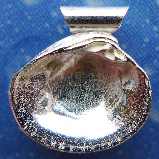 Venusmuschel Rückseite Schmuck Silber 