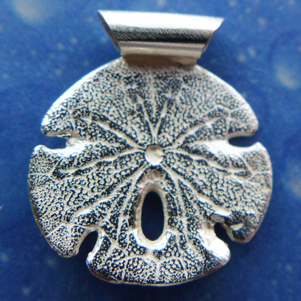 Sanddollar Schmuck Hinten Seeigel