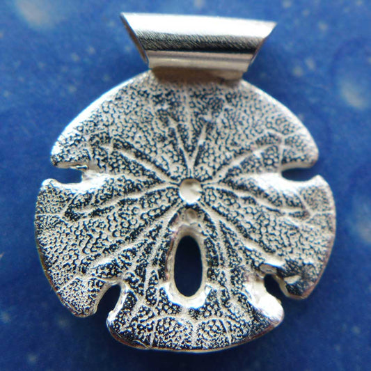 Sanddollar Schmuck Hinten Seeigel