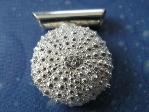 Silber Seeigel Schmuck Anhänger