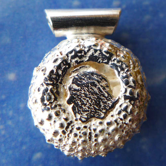 Silber Seeigel Schmuck Anhänger Rückseite