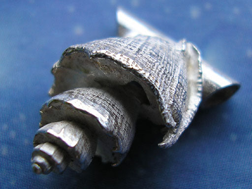 Schneckenanhänger Silber Muskatnuss