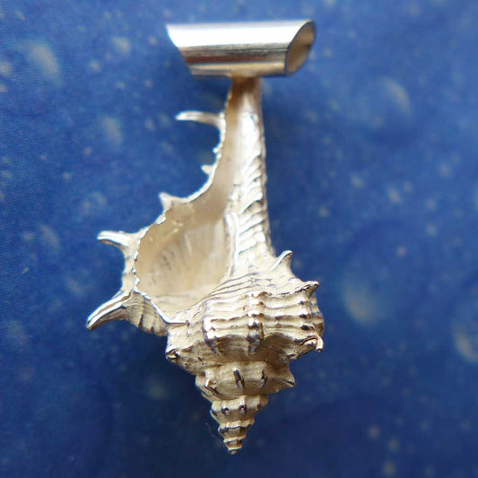 Murex Schmuck Silber Anhänger Rückseite