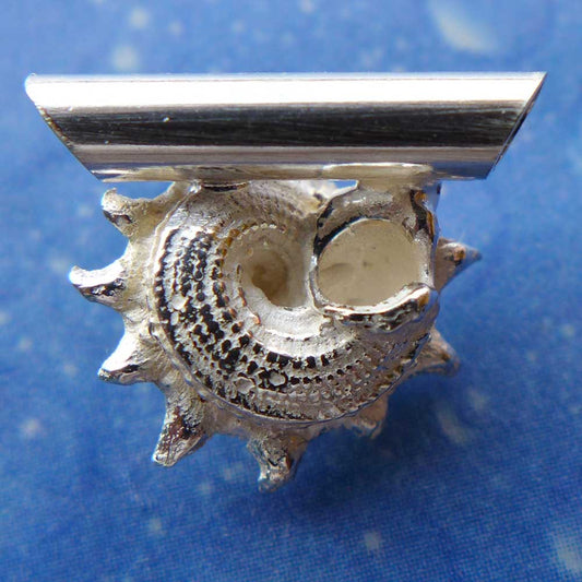 Schnecke Sonne Anhänger Silber