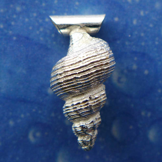 Latiaxis Anhänger Schnecke