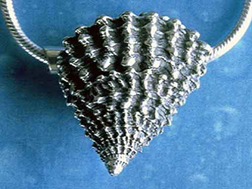 Gekrönte Strand Schnecke small Anhänger