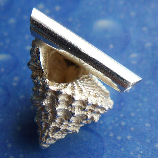 Gekrönte Strand Schnecke small Anhänger