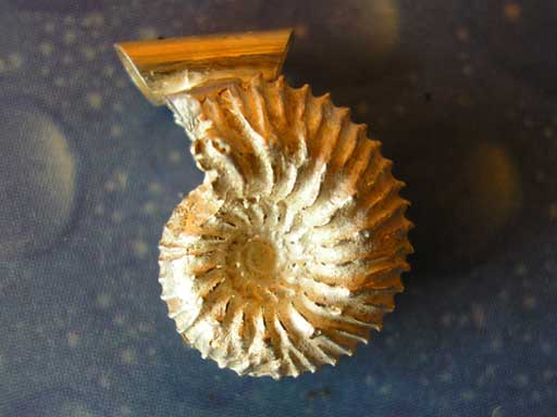 Fossiler Schmuck Ammonit Anhänger