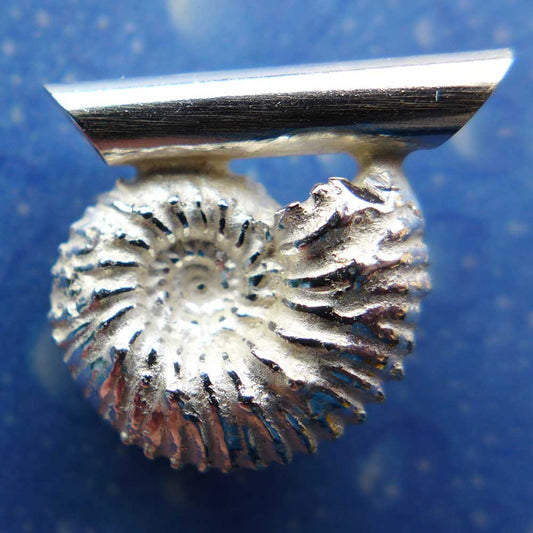 Fossiler Schmuck Ammonit Anhänger Rückseite