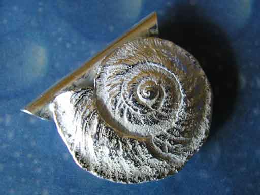 Scharfkantige Sonnenuhrschnecke s Anhänger