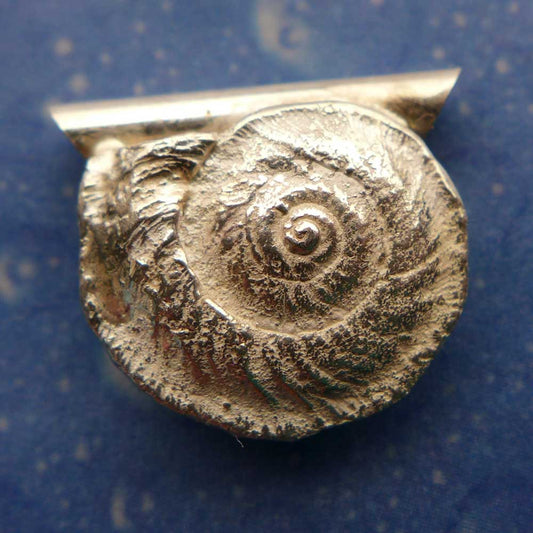 Scharfkantige Sonnenuhrschnecke s Anhänger