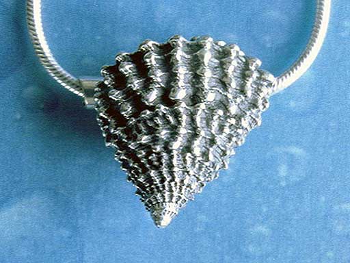 Gekrönte Strand Schnecke medium Anhänger