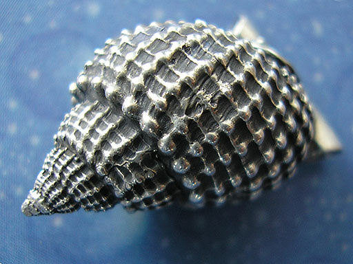 Muskatnuss dick Anhänger Schnecke