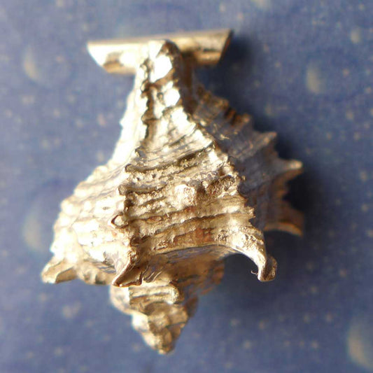 Stachel Schnecke Anhänger