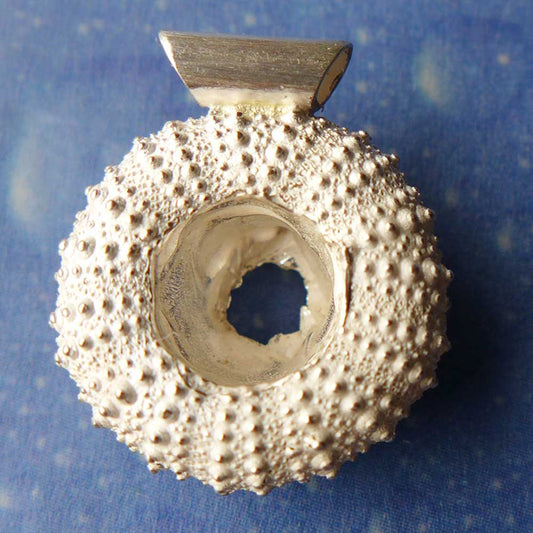 Silber Seeigel Ketten Anhänger hinten