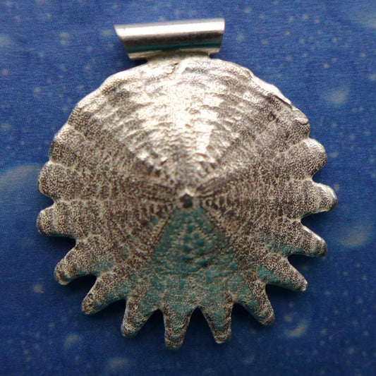 Sanddollar gezackt Anhänger