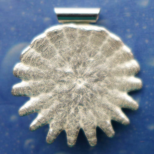 Sanddollar gezackt Anhänger