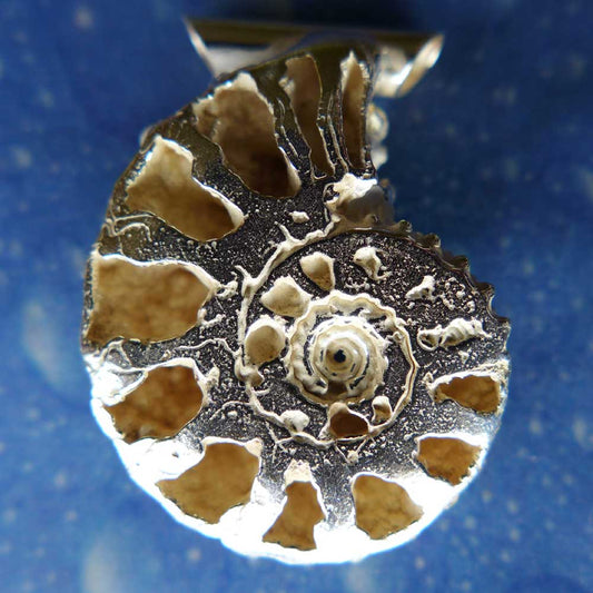 Ammonit Schmuck Silber Kette