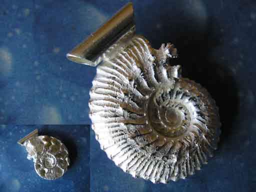 Versteinerung Schmuck Ammonit 