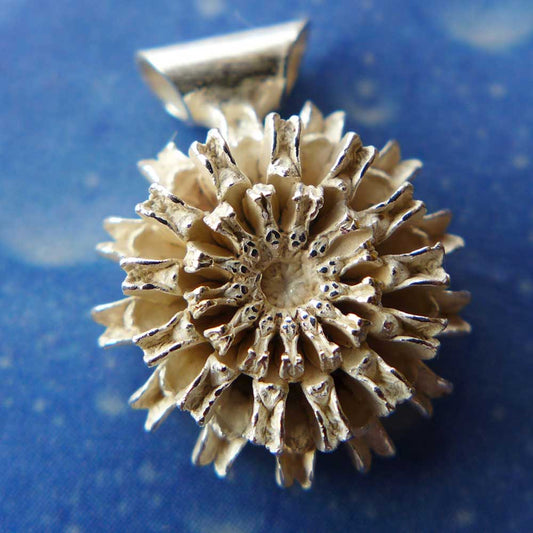 Schmuck Blüte Samen Anhänger