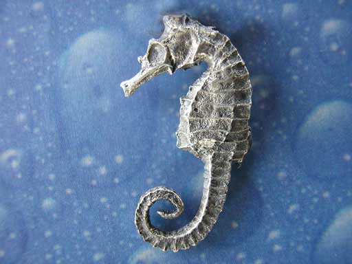 Maritimer Schmuck Brosche Seepferd Silber