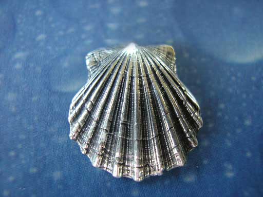 Pilgermuschel xm Brosche