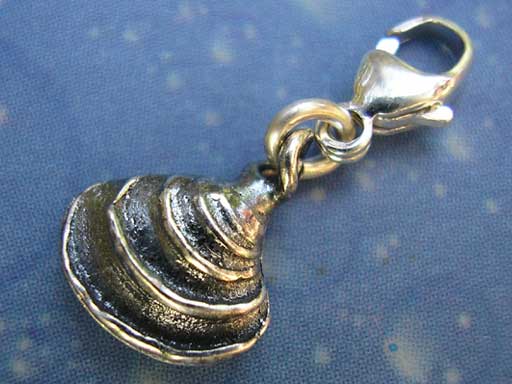 Stufige Venusmuschel xs Charms mit Karabiner