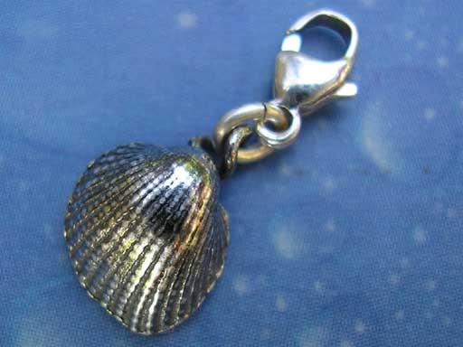 Stachelige Herzmuschel xs Charms mit Karabiner