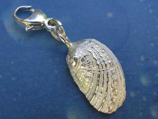 Meerohr Charms mit Karabiner