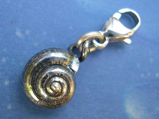 Längsgestreifte Knopfschnecke Charms mit Karabiner