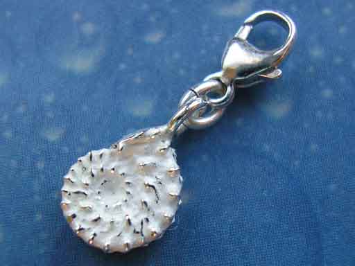 Ammonit xs Charms mit Karabiner