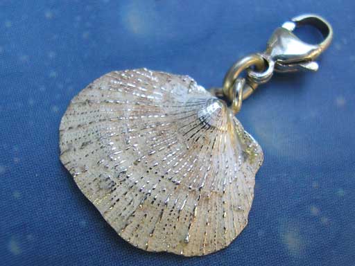 Blattmuschel Charms mit Karabiner