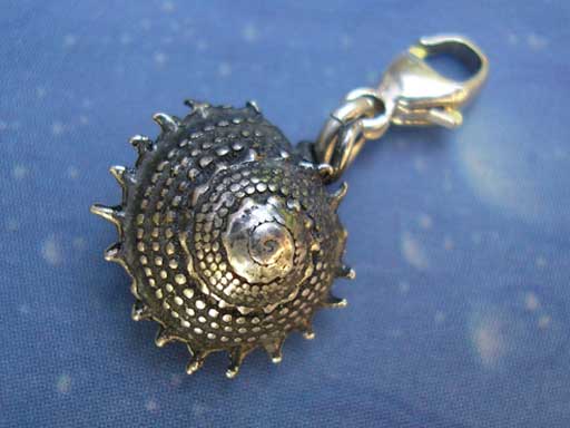 Feinstachelige Sonnenschnecke Charms mit Karabiner