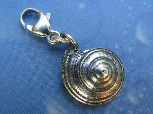Sonnenuhrschnecke xs Charms mit Karabiner klein