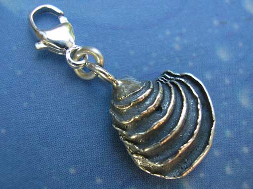 Stufige Venusmuschel s Charms mit Karabiner
